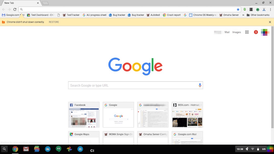 google chrome for the mac